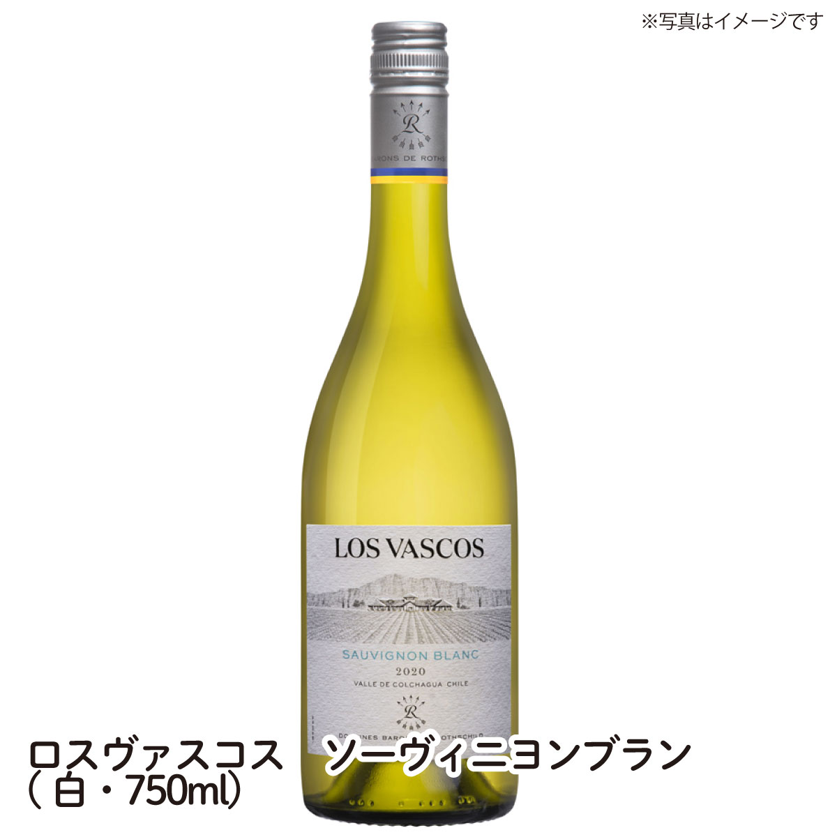 楽天カスミSHOP　楽天市場店【送料無料】ロスヴァスコス ソーヴィニヨンブラン LOS VASCOS SAUVIGNON BLANC 白・750ml ワイン ご自宅用 手土産 wine