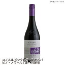 【送料無料】コノスル ビシクレタ ピノノワール レゼルバ　赤・750ml ワイン ご自宅用 手土産 wine