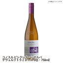 【送料無料】コノスル ビシクレタ ゲヴュルツトラミネール　白・750ml ワイン ご自宅用 手土産 wine