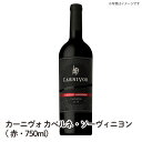 yzJ[jH JxlE\[Bj 2019 ԁE750ml CARNIVOR CABERNET SAUVIGNON C p yY wine