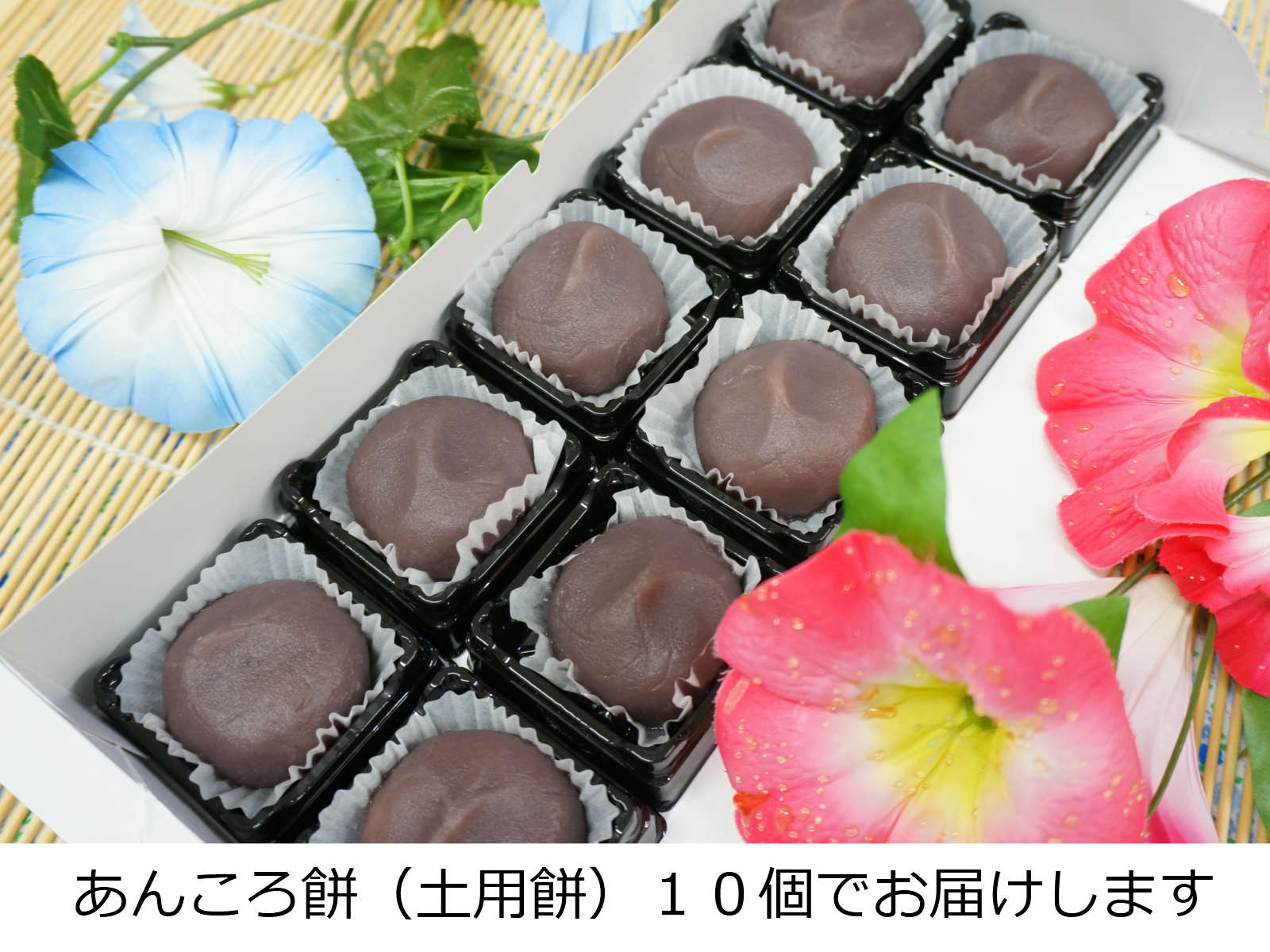 お中元 和菓子 彼岸 あんころ餅 土用餅 残暑見舞い 敬老の日 スイーツ 【あんころ餅（土用餅）10個 】御中元 お菓子 和菓子 送料無料 和菓子 御中元 お中元 あんこ餅 ポイント消化