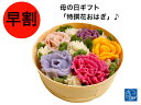 早割 母の日 おはぎ花 お花 インスタ映えスイーツ お取り寄せスイーツグランプリ【花おはぎ】華おはぎ クリスマス 練り切り 上生菓子 母の日 父の日 お誕生日 記念日かわいい 和菓子花咲く 和菓子 送料無料 餅 和菓子 グルメ ギフト ぼたもち 大福