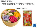 おはぎ花 おはぎ お花 インスタ映えスイーツ お取り寄せスイーツグランプリ【花おはぎ】華おはぎ 有機ローズヒップ 練り切り 上生菓子 母の日 父の日 お誕生日 記念日かわいい 和菓子花咲く 和菓子 送料無料 餅 和菓子 グルメ ギフト ぼたもち 大福