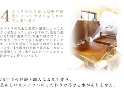 送料無料お試し価格選べる半斤カステラ3個セット【半斤】【選べるカステラ】