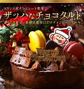 クリスマスケーキ 予約 送料無料 2020 ザッハなチョコタルト ザッハトルテ×チョコタルト クリスマス ケーキ 4.5号 チョコレートケーキ スペシャルなチョコレートケーキ 誕生日ケーキ ギフトやパーティーにもチョコレートケーキ【冷凍配送】