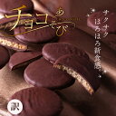 もりん クッキー 訳あり スイーツ 送料無料 がらんの小石クッキー × チョコ 300g 600g割れ チョコレート クッキー サブレ ミルク ダーク お徳用 お得 大量 丸型 ザクザク 高カカオ スイーツ 洋菓子 お菓子 焼き菓子 人気 お取り寄せ ご自宅用 スイーツ