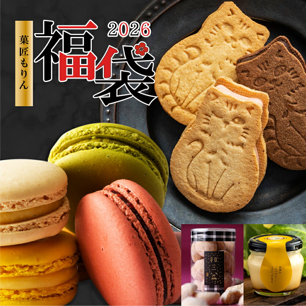 数量限定 福袋2026 スイーツ 4種 大人気 スイーツ 詰め合わせ 福袋 ギフト マカロン 猫型ショコラサンド プリン クッキー お試し お礼 お祝い 送料無料