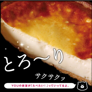 送料無料【訳あり！】被害拡大中！？◆でぶのもとチーズタルト2台◆(直径約14cm) premium cheese tart サクとろ禁断のタルト【チーズタルト】ご自宅用 ご褒美　タルト ケーキ【クール便/冷凍配送】数量限定