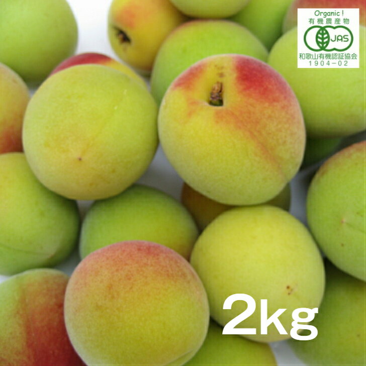 有機栽培　完熟梅【奈良県産】梅干し・ジャム用 2kg
