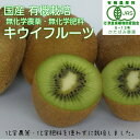 【国産 有機栽培】キウイフルーツ【1箱24個入】(オーガニッ...