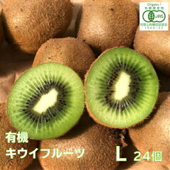 https://thumbnail.image.rakuten.co.jp/@0_mall/katabamifarm/cabinet/fruits/kiwi/compass1672808284.jpg