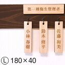 名札掛け 国産ヒノキ 掛札 名札 木札 穴あり ナチュラル 180×40 L【名入れ 1行専用】木製 ネームプレート 名入れ おしゃれ プレート 道場 有資格者 一覧表 出勤表 配置表 穴付き 縦書き文字内容自由 メール便 送料無料