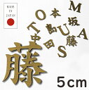 切り文字 表札 看板 5cm 漢字 ひらがな カタカナ アルファベット 数字 (楷書体) 真鍮風 ゴールド 切文字 抜き文字 立体 アイアン風 おしゃれ 金 軽くて丈夫 屋外対応 取付ガイド付 貼るだけ シール式 メール便 送料無料