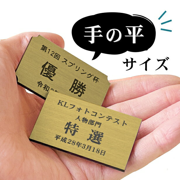 ͥ���ץ졼�� ��ǰ�ʥץ졼�� �͡���ץ졼�ȡ�̾������̵���ۿ���� ������� 50��30mm ���ݡ��� ��� ����ƥ��� ���٥�� ����� ����� �ۡ��륤���� ɽ�� �ڤ��ƾ��� Ž�� �����뼰 �� �᡼���� ����̵��