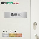 室名プレート 診察室 病院 室名札 病室 処置室 検査室 院長室 理事長室 内診室 レントゲン室 施術室 手術室 X線室 医局 室名札 シルバー ゴールド ブロ...