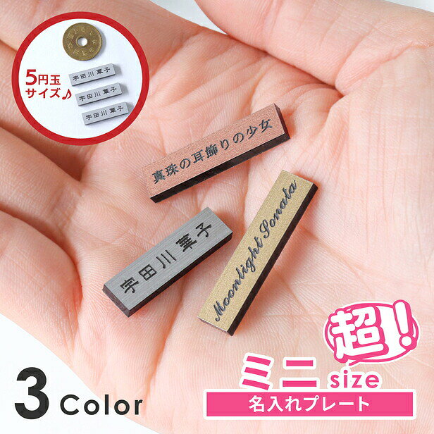 名入れプレート 一行専用 ミニサイズ(H7mm×W25mm〜30mm)【3色】シルバー ゴールド ブロンズ 3個入・10個入り ネームプレート 名札 表札 極小 小さい タイトル ブランド 屋外対応 シール式 メール便 送料無料