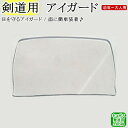 アイガード【ネコポス発送:280円】【剣道 剣道具 保護 面...
