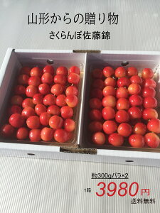 山形産さくらんぼ 佐藤錦さくらんぼ 約350g×2 送料無料