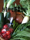 【送料込み】4品以上 野菜 詰め合わせセット 野菜セット おまかせ 送料込み (中国、四国、九州地方へのお届けは500円の別途料金をお願い致します。