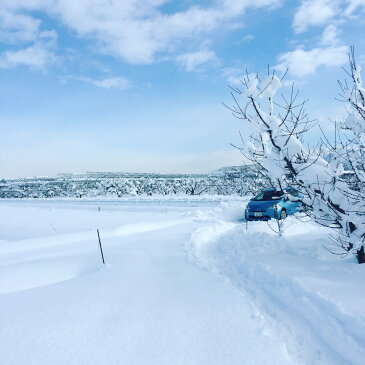 サンふじりんご 訳あり 自家用 約3kg 山形県産 ご自宅用 果物 フルーツ アップル サイズおまかせ 少々色むら有 山形産りんご りんご