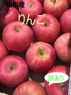 サンふじりんご 訳あり 自家用 約3kg 山形県産 ご自宅用 果物 フルーツ アップル サイズおまかせ 少々色むら有 山形産りんご りんご