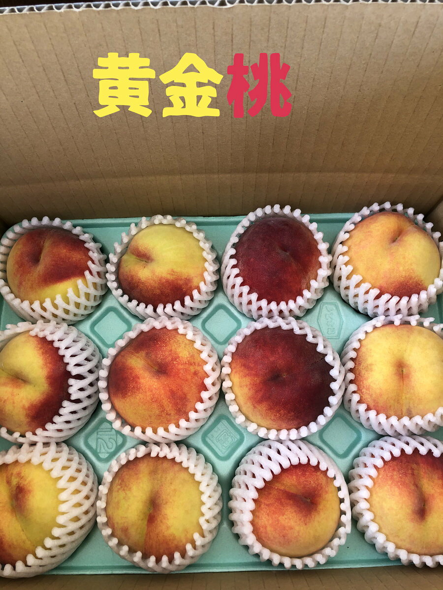 山形産 黄金桃 もも 桃 黄色い桃 甘酸っぱい 産地直送 生食用 黄肉腫 7 ～12個