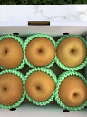 山形県産 和梨 おいしい 美味しい 日持ちよし 贈り物