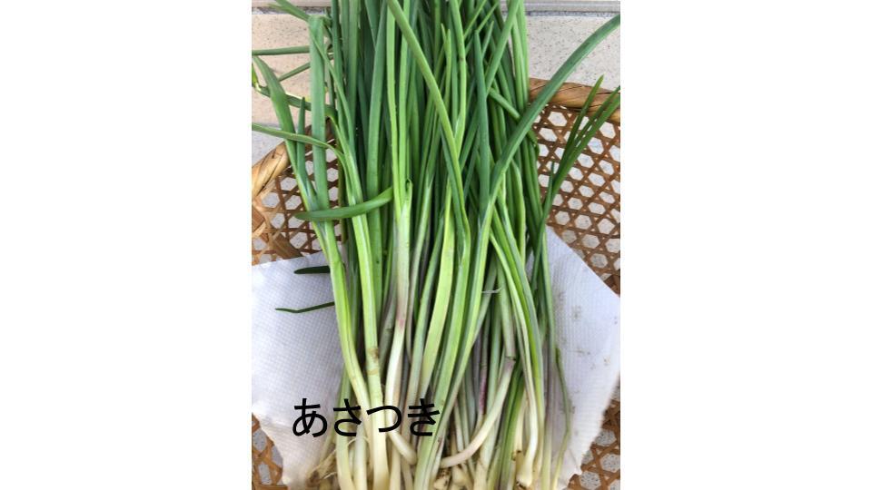 あさつき アサツキ ねぎ 薬味 和え物 130g前後 春野菜