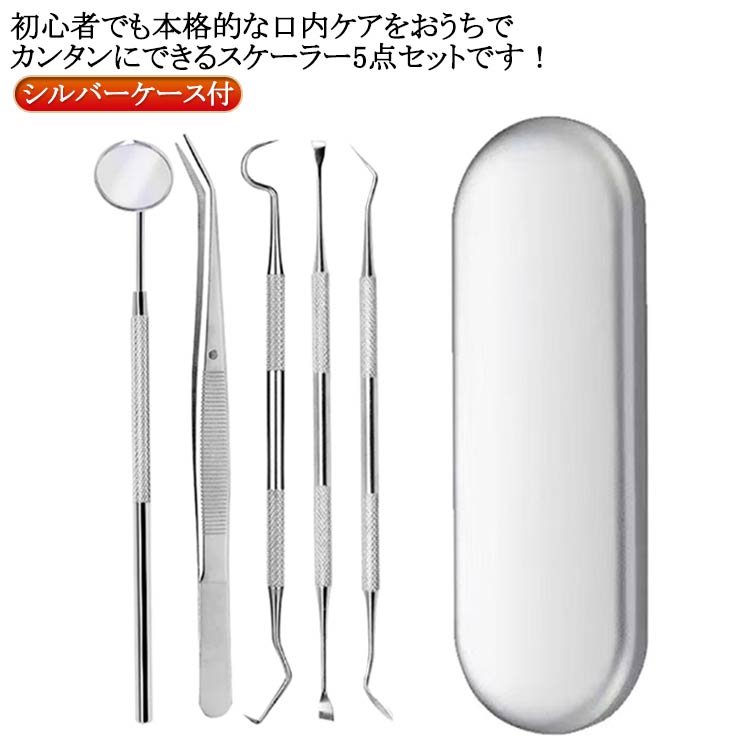 5点入り 5点セット ケース付き 先極細 プラーク 送料無料 除去 歯垢取り 自宅用 歯石 歯石取り ヤニ取り 器具 デンタルツール ステンレス製 口腔ケア器具 スケーラー スケーラー 器具 敬老の日 ギフト 母の日 父の日 プレゼント 贈り物