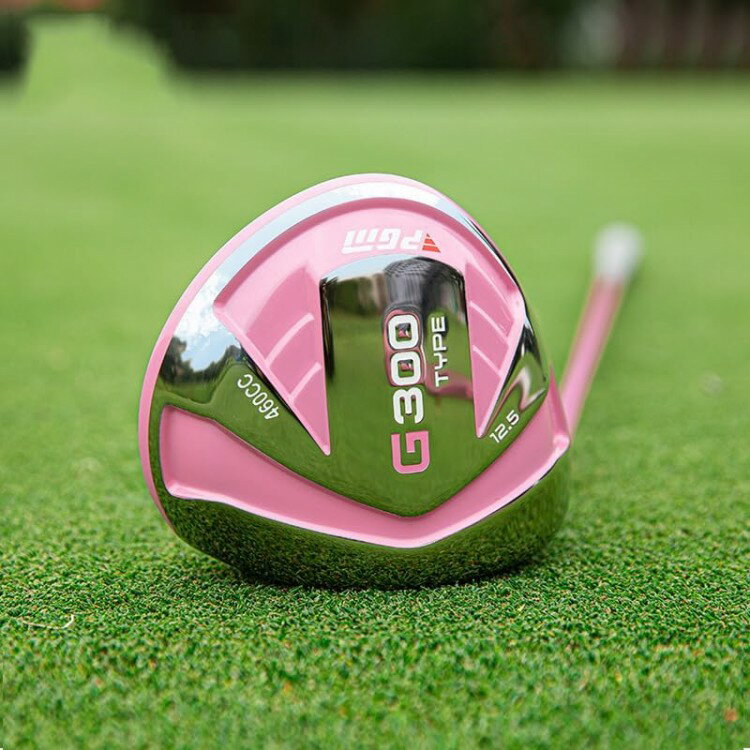 レディース ゴルフ クラブセット 12本組 初心者 左用 ヘッドカバー5個 キャディバッグ付スポーツ アウトドア その他 メンズウェア ウェア