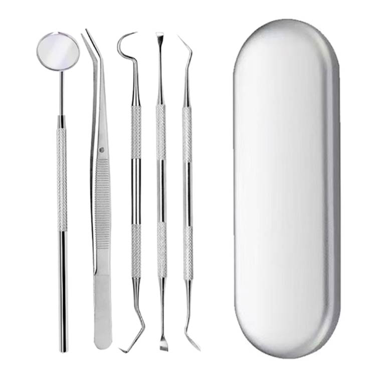 口腔ケア器具 スケーラー プラーク 5点入り ケース付き 除去 歯垢取り 歯石取り 歯石 ヤニ取り 5点セット 器具 自宅用 ステンレス製 スケーラー デンタルツール 器具 先極細 敬老の日 ギフト 母の日 父の日 プレゼント 贈り物