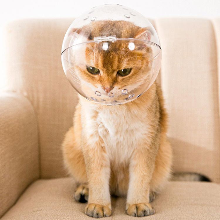 エリザベスカラー 猫 口輪 ペットマスク 猫カバー クリア ソフト 透明 8kgまで対応 舐め防止 調整可能 ..