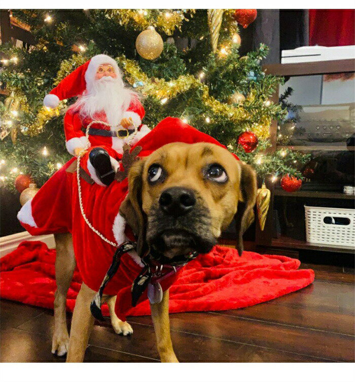 クリスマス ペット衣装 犬 猫 服 サンタ人形 トナカイ コスプレ ドッグウェア キャットウェア ねこ 犬..