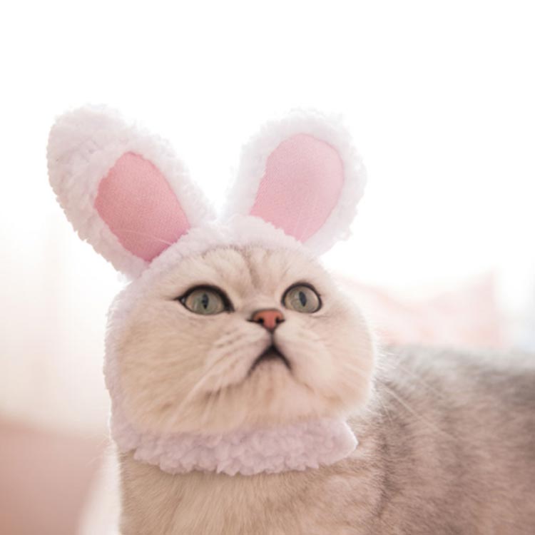 コスチューム(ペット用) ペット イヌ ネコ ペット用 被り物 うさぎ ラビット となかい トナカイ クリスマス ファー フェイクファー エコファー 小型犬 フリーサイズ イヌ 帽子