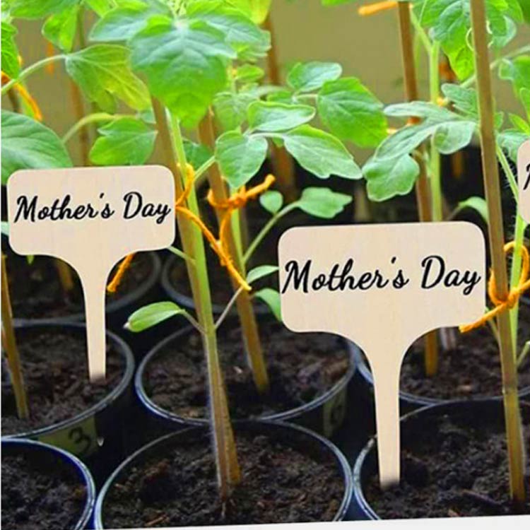 家庭 ガーデン 園芸用 木製 植物用タグ 花壇 木製 園芸ラベル 木製 家庭菜園 T型 フラワーカード 100枚..