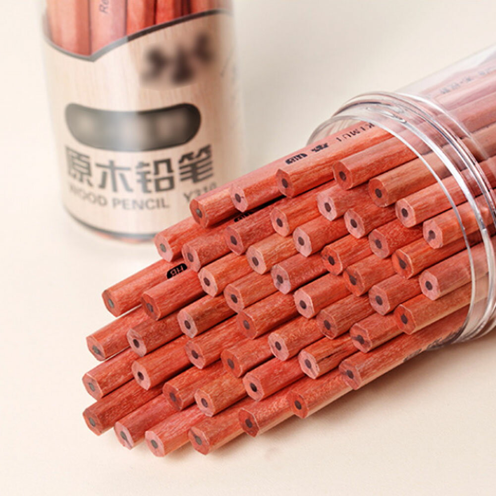 ɮ50 ɮ HB/2B ɮ ʸ˼ ʸ Ҷ  ʸ ե ץ쥼 £ʪ Ҷ ɤ ץ쥼