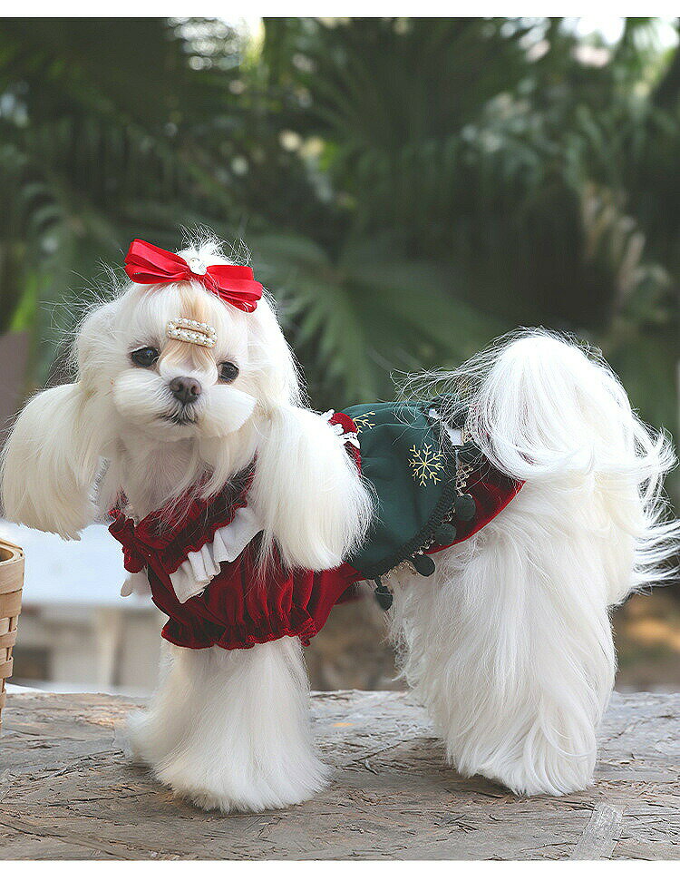 高級 ペット服 秋冬 ベルベット ベロア 犬服 ワンピース 小型犬 ドッグウェア 抜け毛防止 防寒 室内用 ..