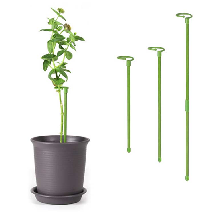 観葉支柱 つる性植物 6本セット 園芸支柱 花ささえ 植物支柱 支柱 誘引 花支え 植物サポート フラワー..