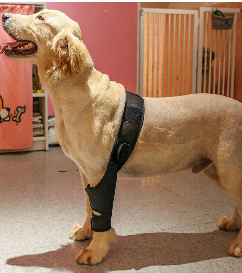 関節プロテクター 膝 サポーター 前足後足左右兼用 ペア 固定 在宅ケア リハビリ 包帯 ペット用ケア用..