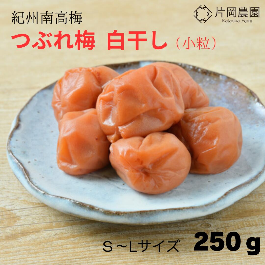 【無添加】 つぶれ梅 白ぼし 小粒 南高梅干し 無添加 塩のみ 250g S～Lサイズ 天然塩 減農薬 昔ながらのすっぱい梅干し 白干し しら干し しらぼし 和歌山産 訳あり 送料無料 お試しのサムネイル