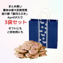 駿河ふぶきプチギフト45枚入り（4g×45P）3個まとめ買い【 送料無料 贈答品 削り節 鰹節 本枯節 手削り風 個別包装 手土産 焼津 新丸正 堅魚屋 農林水産大臣賞 かつおぶし かつお節 おつかいもの 】