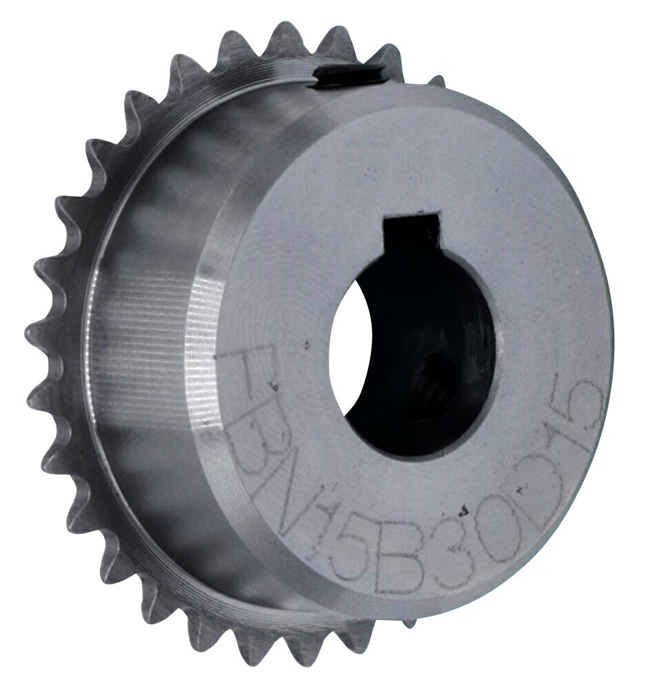 片山チエン　FBN15B24D10(2)