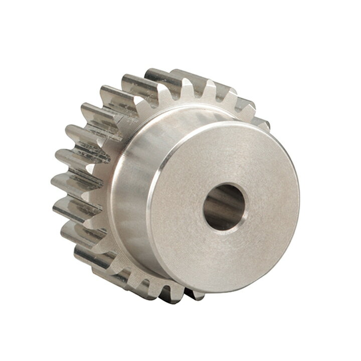 片山チエン　ヒラハグルマ SUS M1B48