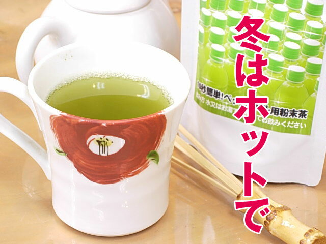 【お徳用50g】JAS有機栽培 緑茶 粉末 ペットボトル パウダー お茶 カテキン チャック式 袋