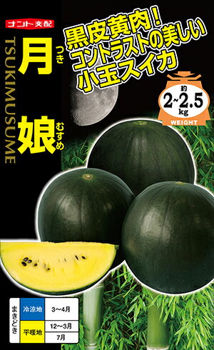 スイカ　月娘(つきむすめ)[種子 200粒入]