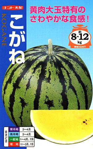 スイカ　こがね[種子 小袋7粒入]