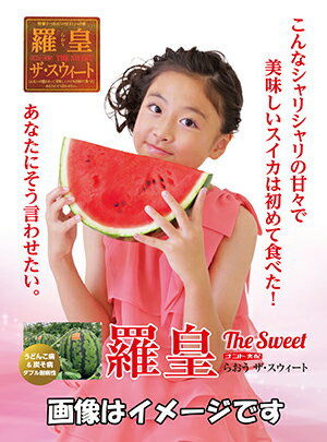 ĥ[WEB꾮ޣγ]ץܿ͡