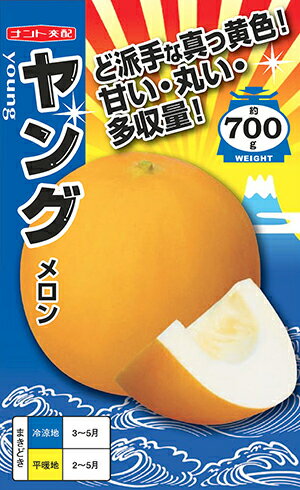 メロン　ヤング[種子 100粒入]