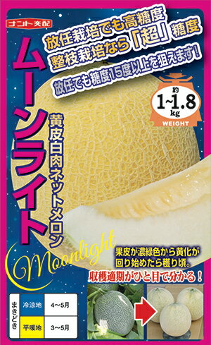 メロン　ムーンライト[種子 100粒入]