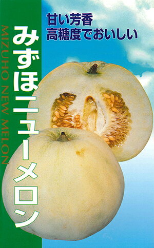 メロン　みずほニューメロン[種子小袋 1.8ml入]のサムネイル